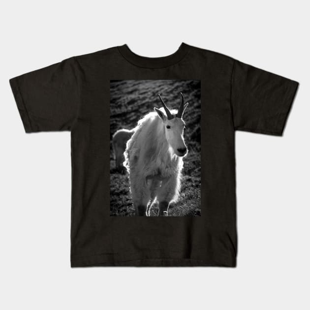 Mountain Goat Kids T-Shirt by jonesing